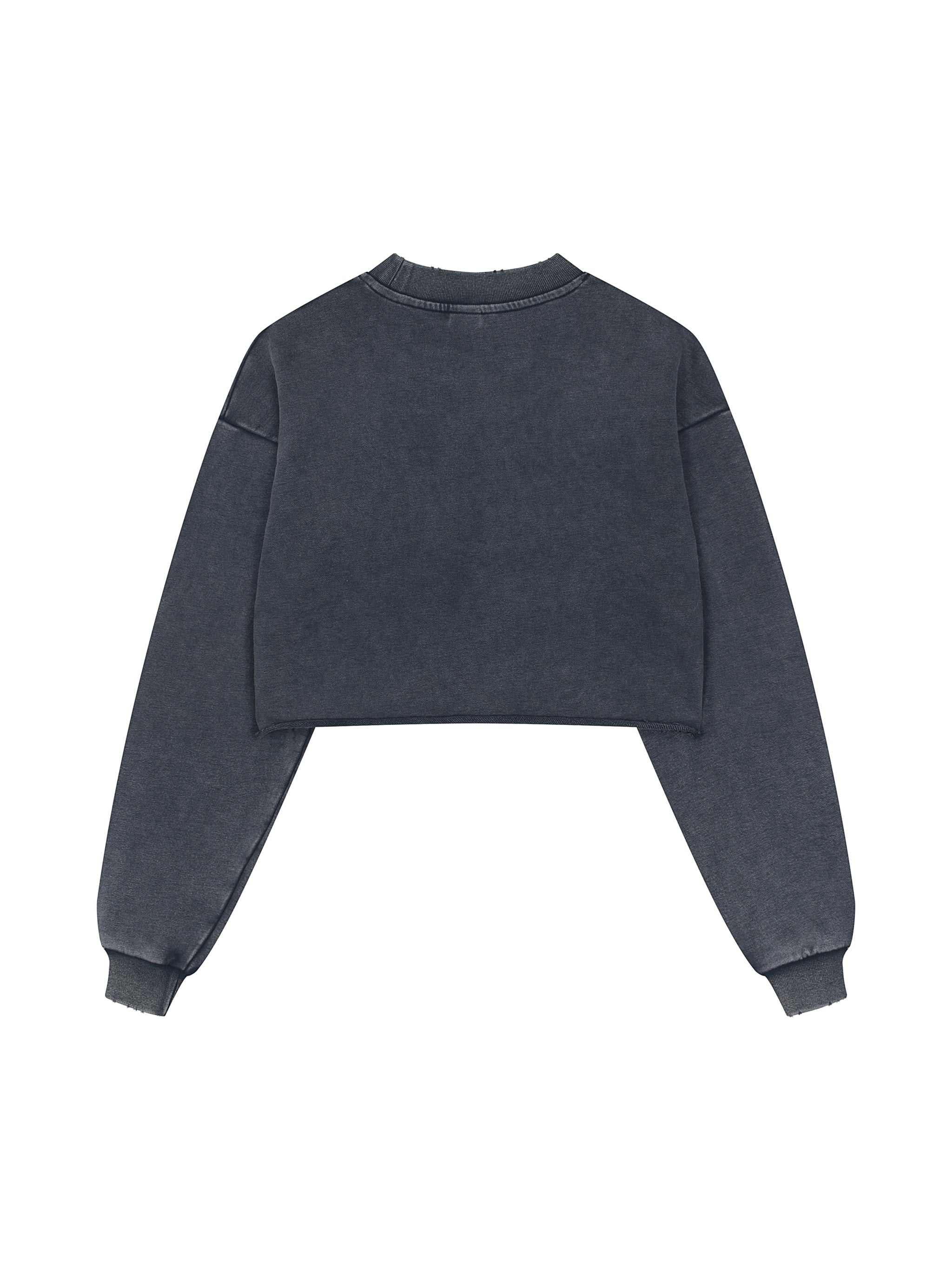 Snow Washed Raw Edge Cropped Sweatshirt